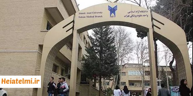 فرصت همکاری برای دانشجویان دکتری علوم پزشکی آزاد ۱۴۰۴