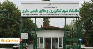 جذب استاد مدعو دانشگاه کشاورزی و منابع طبیعی ساری 1404