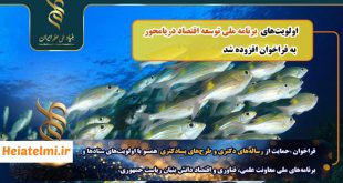 حمایت مالی بنیاد ملی علم از پژوهش‌های دریامحور در سال ۱۴۰۴