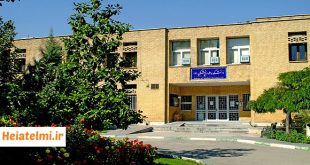 جذب هیات علمی علوم پزشکی دانشگاه تربیت مدرس ۱۴۰۴