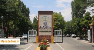 جذب پسادکتری بنیاد نخبگان دانشگاه محقق اردبیلی ۱۴۰۴