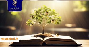 حمایت مالی بنیاد علم از طرح دکتری و پسادکتری ۱۴۰۴