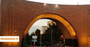 آمار جذب هیات علمی دانشگاه تربیت مدرس در فراخوان سال ۱۴۰۳