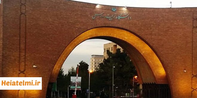 آمار جذب هیات علمی دانشگاه تربیت مدرس در فراخوان سال ۱۴۰۳