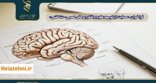 حمایت مالی از پژوهش‌های علوم و فناوری‌های عصبی شناختی بنیاد علم ۱۴۰۴