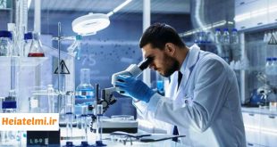 بسته حمایتی دولت برای ۱۵ هزار استاد و دانشجو با هدف مرجعیت علمی