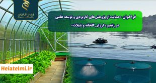 حمایت از پژوهش‌های کاربردی و توسعه علمی در زنجیره ارزش گلخانه و شیلات بنیاد ملی علم ۱۴۰۴