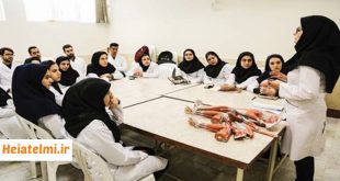 افزایش ۲۰ درصدی کمک‌هزینه دانشجویان دکتری وزارت بهداشت ۱۴۰۵