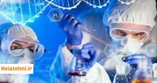 ظرفیت پذیرش پژوهشگران پسادکتری در دانشگاه تهران