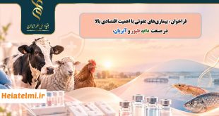 حمایت یک میلیاردی بنیاد ملی علم از طرح‌های پژوهشی دامپزشکی ۱۴۰۵