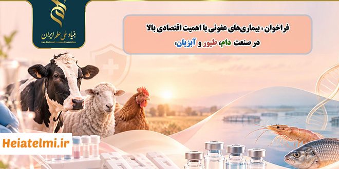 حمایت یک میلیاردی بنیاد ملی علم از طرح‌های پژوهشی دامپزشکی ۱۴۰۵